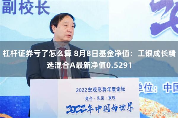 杠杆证券亏了怎么算 8月8日基金净值：工银成长精选混合A最新净值0.5291