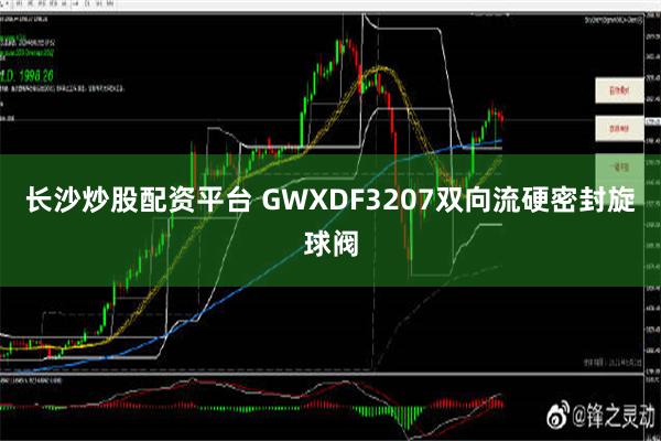 长沙炒股配资平台 GWXDF3207双向流硬密封旋球阀